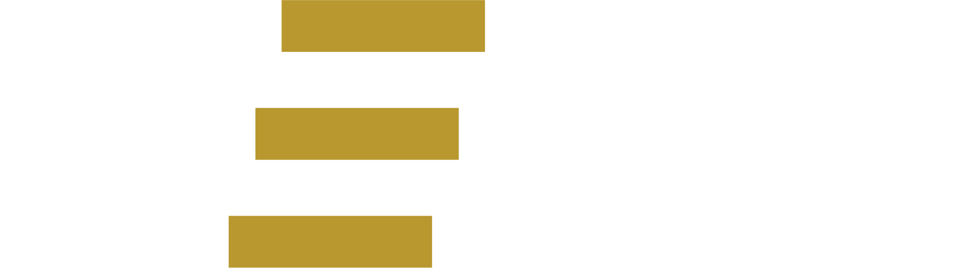 Teja Logo White with minimal Border